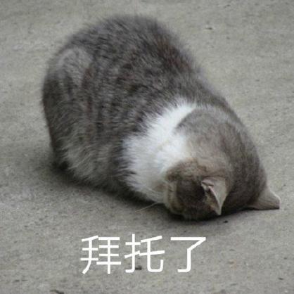 请求图片 表情包