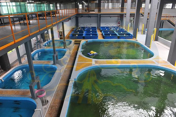 全自动养鱼设备