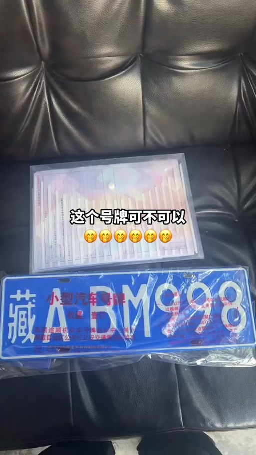 2023年车牌号是什么意思