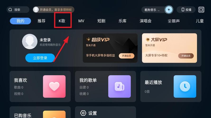 电视上播放音乐的软件