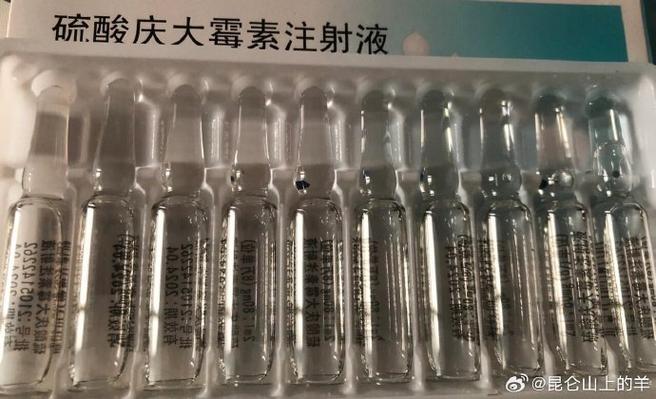 小羊肚子疼一般用什么药
