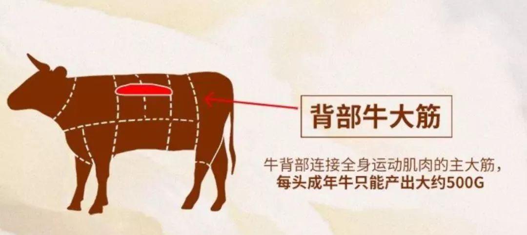 一头牛有几根牛板筋