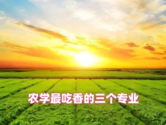 农学最吃香的三个专业
