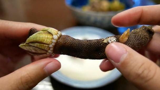魔鬼指甲