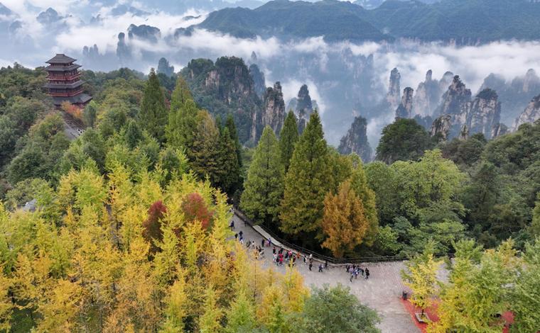 神州旅游