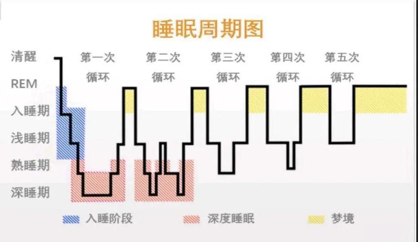 深睡偏低浅睡偏高