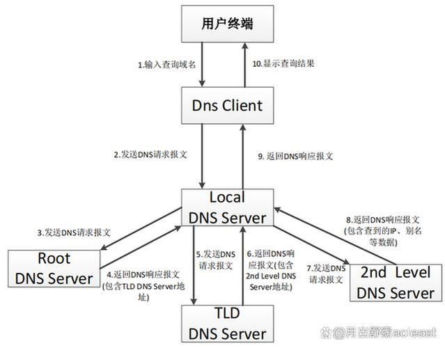dns协议