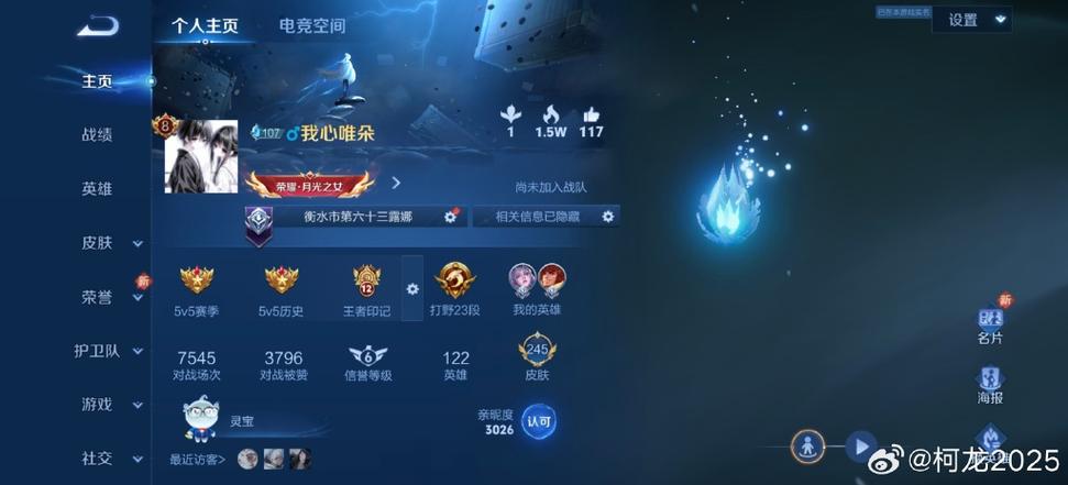 王者游戏账号是指ID吗
