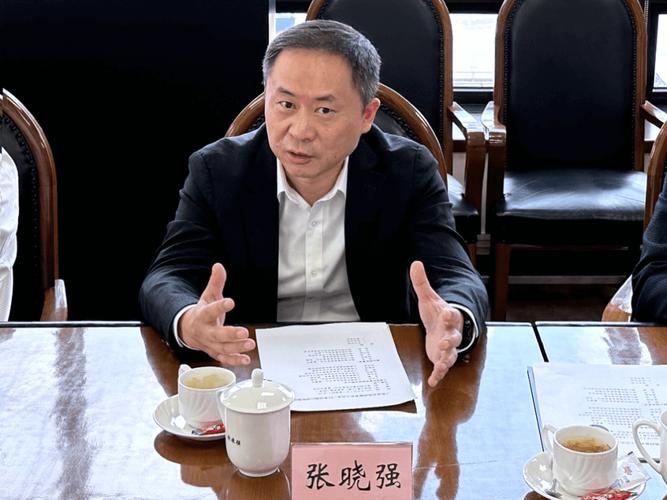 张晓强去中央