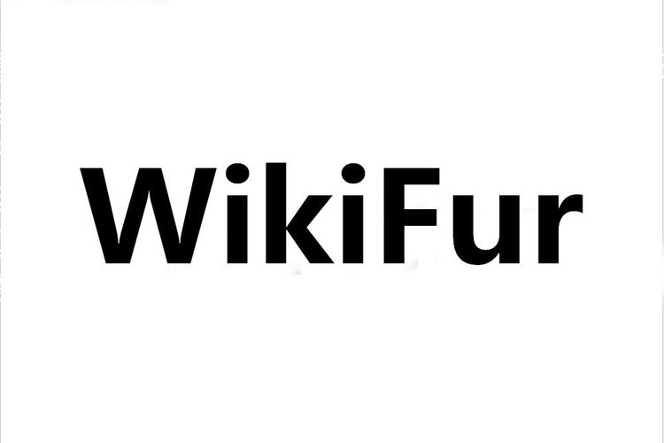 furry wisher最新版4.2
