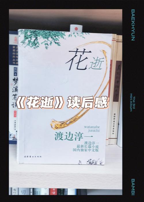 花逝小说免费阅读