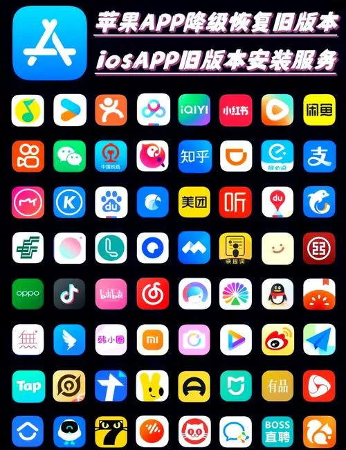 recoverx手机版
