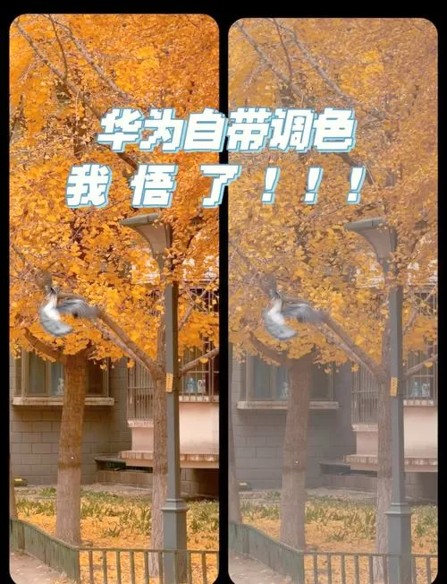 手机拍照怎么让颜色鲜艳