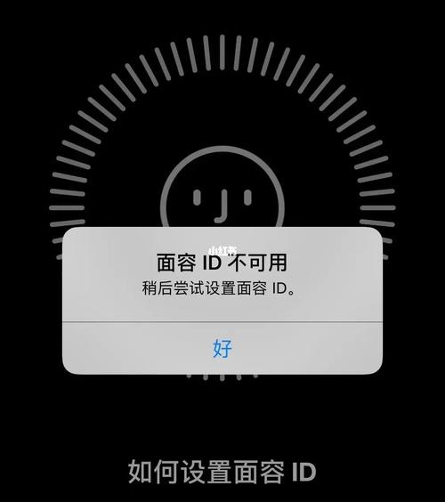面容解锁突然不能用了