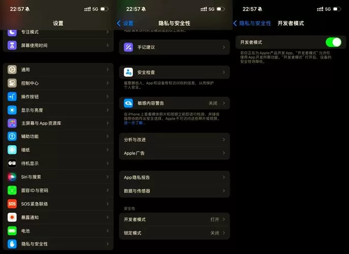ipad开发者模式在哪里设置