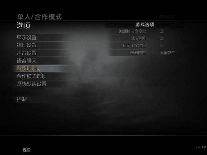 使命召唤5中文设置教程