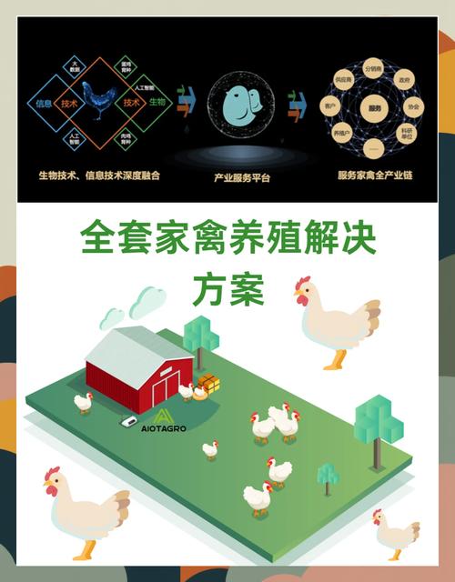 智慧养鸡红包版