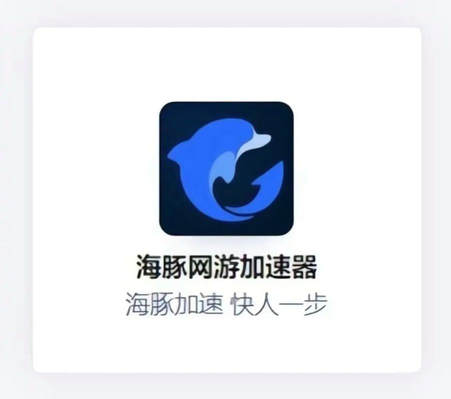 seagulltool加速器官网经典版