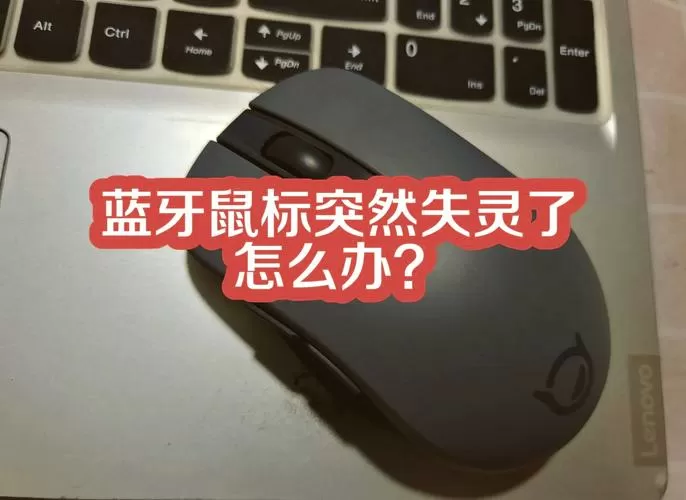 鼠标长时间不用会坏吗