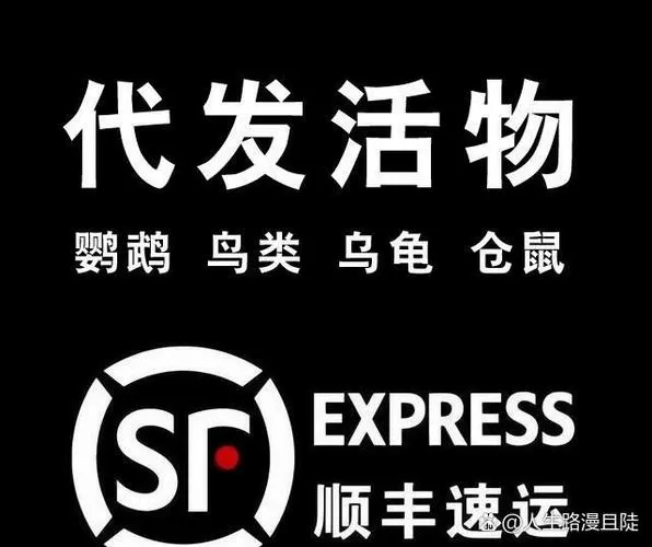 墨水能寄快递吗