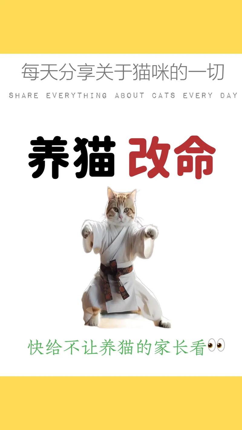 天天养猫猫养猫赚